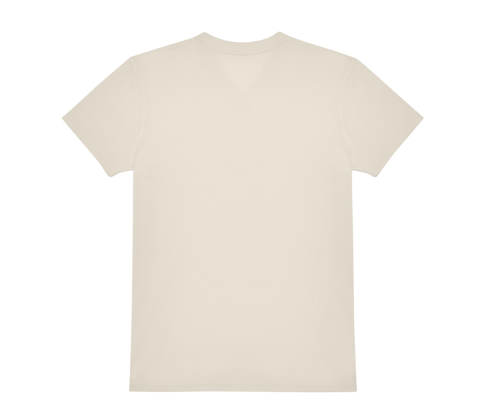 Tee-shirt homme col V 150