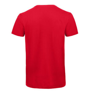 Tee-shirt homme col V en coton bio