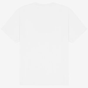 UNISEX SHORT SLEEVE HEAVY TEE
