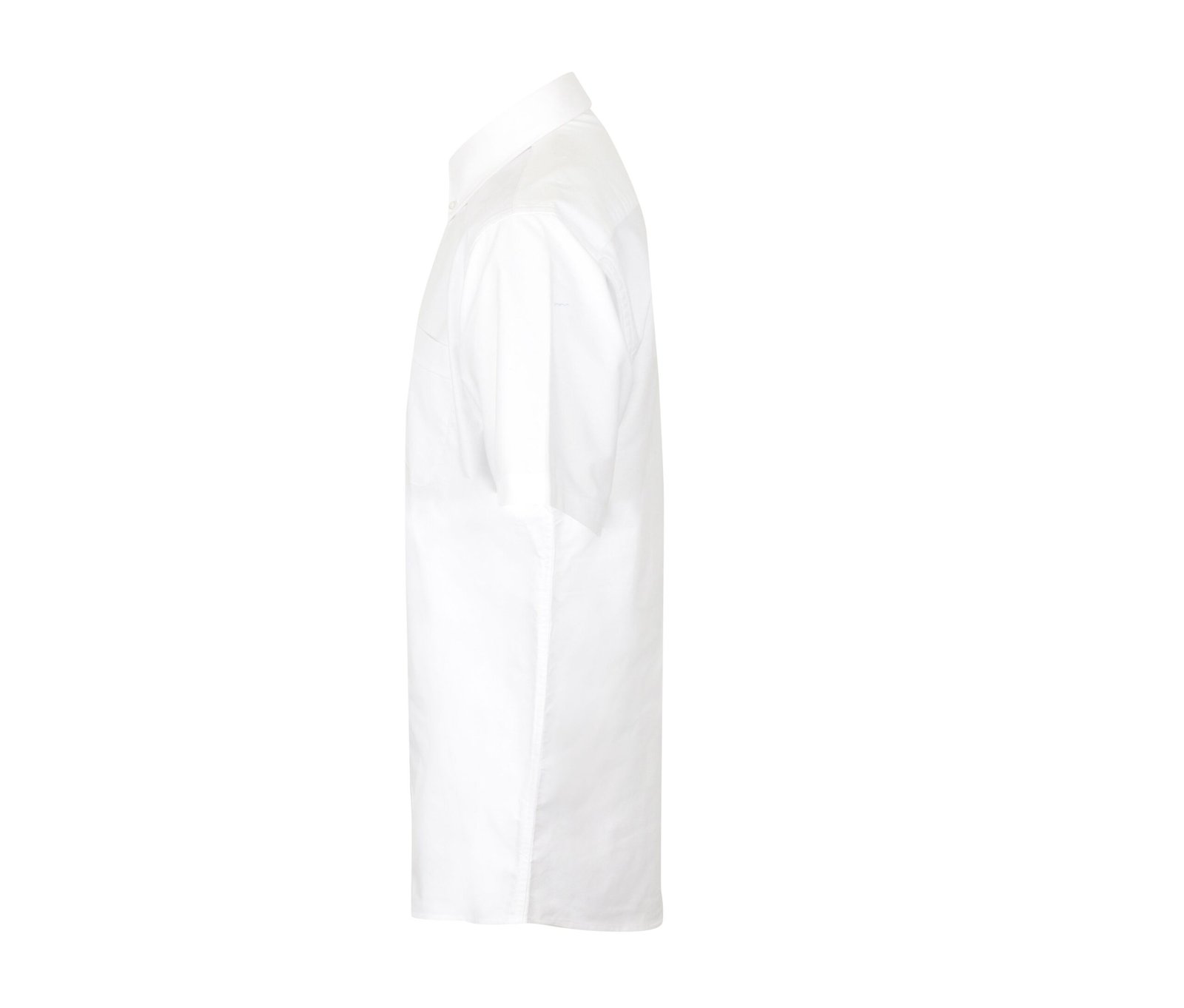 Chemisette oxford homme