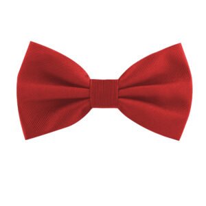 Noeud papillon classique uni – accessoire personnalisé