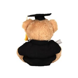 Ours en peluche diplomé