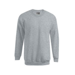 Sweat homme 320