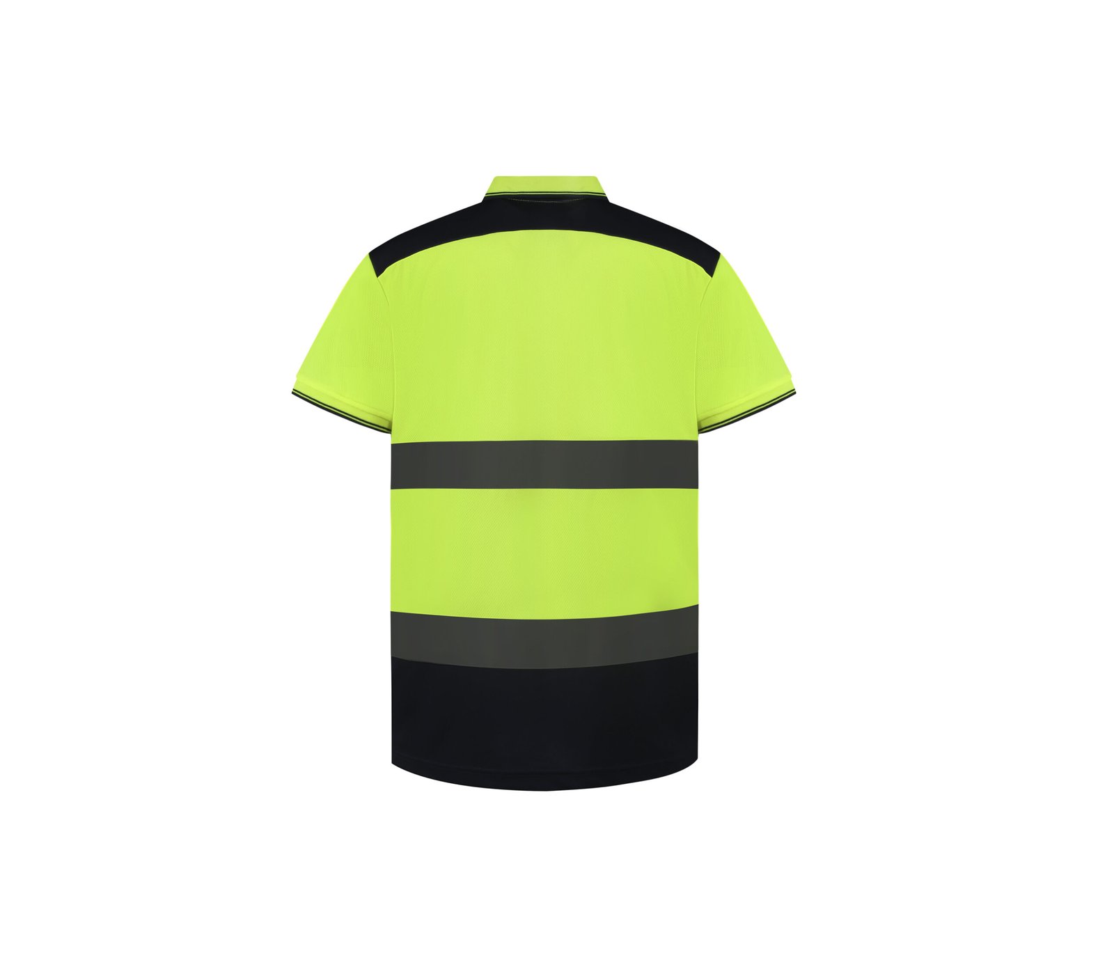 Polo bicolore