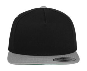 Classic Panel Snapback