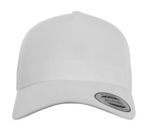Curved Classic Snapback